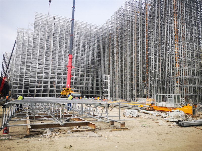 Stacker Crane Based Rack Supported Building